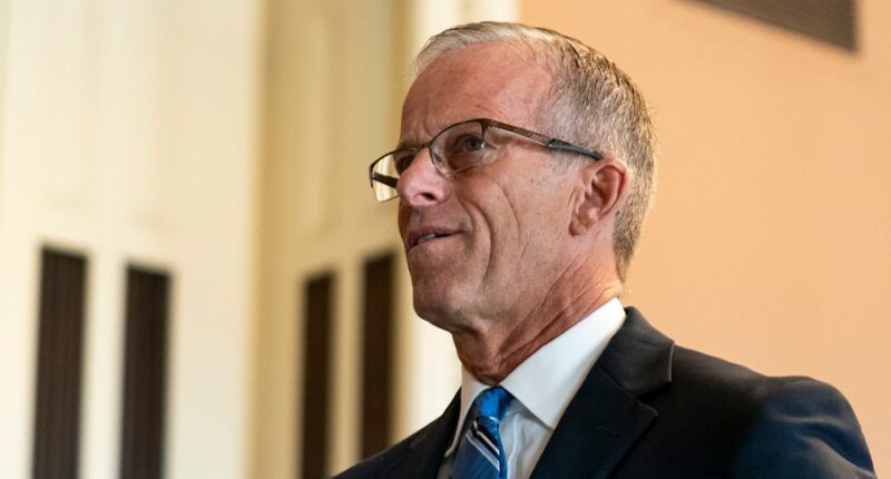 Thune hopes to pass Russia sanctions bill by August