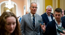 Thune keeps door open to nixing August recess after Trump request