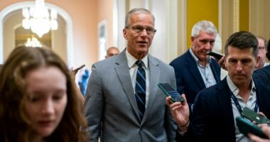 Thune keeps door open to nixing August recess after Trump request
