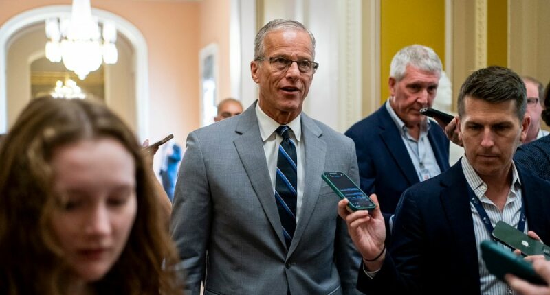 Thune keeps door open to nixing August recess after Trump request