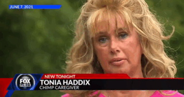 Tonia Haddix of 'Chimp Crazy' found to be hiding another chimp