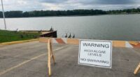 Toxic algae levels going down in Mattoon, community resources continue popping up