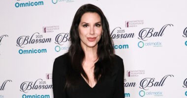 Tragic Details Of Former Fox News Reporter Diana Falzone