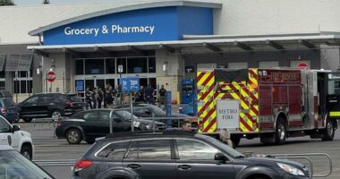 Traverse City stabbing: 1 in custody, at least 11 injured