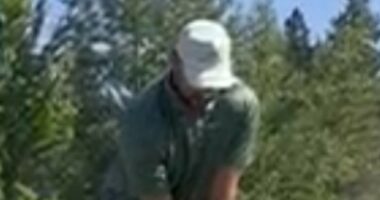 Travis and Jason Kelce tee off at A-List golf tournament amid rumors Taylor Swift could make surprise appearance