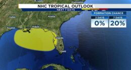 Tropical development looking more possible off Florida’s Gulf Coast. Everything to know