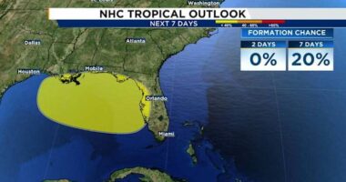 Tropical development looking more possible off Florida’s Gulf Coast. Everything to know