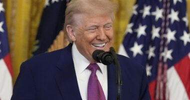 Trump Announces Historic Trade Deal With Not One but Two Major Countries