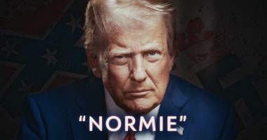 Trump Moderate: Unraveling the Extremist Narrative