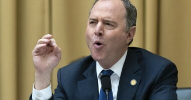 Trump Rips Troubled Dem Senator for Plotting ‘American Tragedy,’ Demands He ‘Pay the Price of Prison’