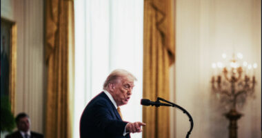 Trump Won’t Recommend Special Prosecutor for Epstein Matter, White House Says