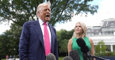 Trump admin asks 9th Circuit to allow immigration arrests