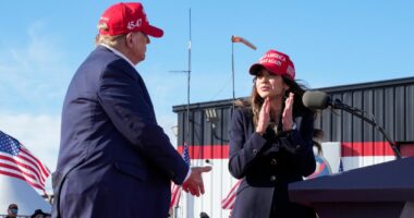 Trump admin can end two countries' protected status: Court