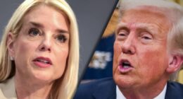 Trump admin. faces growing backlash over Epstein files