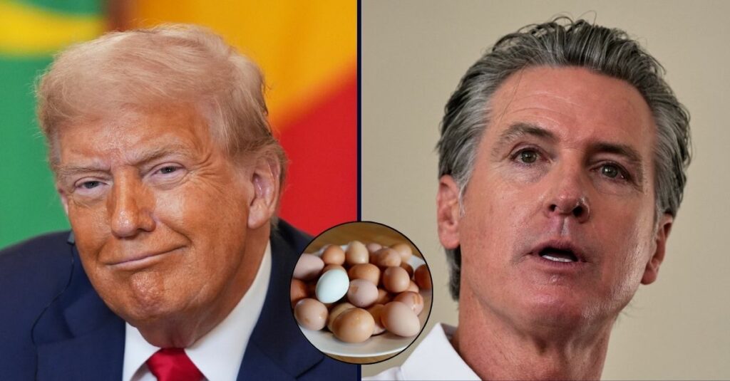 Trump admin sues California over rise in egg prices