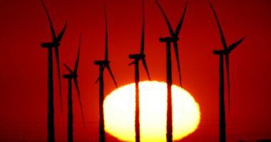 Trump administration to subject solar and wind project to elevated review