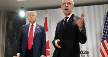 Trump announces 35% tariff on Canada: What's his reason?