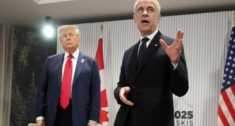 Trump announces 35% tariff on Canada: What's his reason?