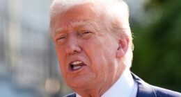 Trump announces trade deal reached with EU