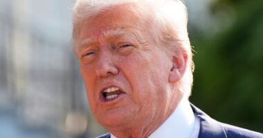 Trump announces trade deal reached with EU