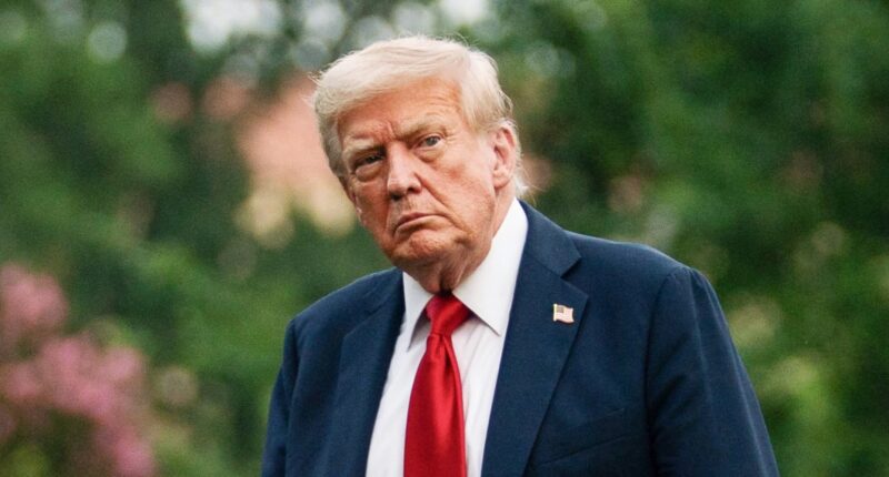 Trump can't get his base to move on from Epstein: From the Politics Desk