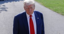 Trump floats rebate check from tariff revenue for Americans