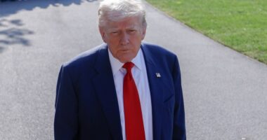 Trump floats rebate check from tariff revenue for Americans