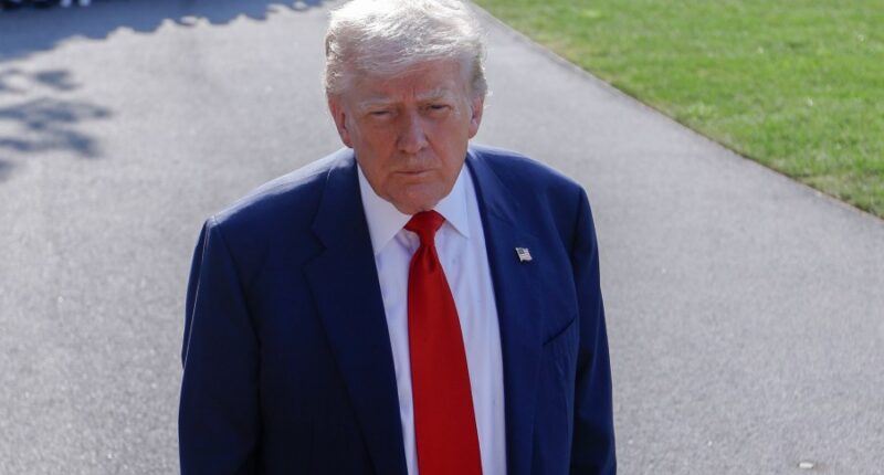 Trump floats rebate check from tariff revenue for Americans