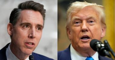 Trump goes off on Josh Hawley over insider trading bill