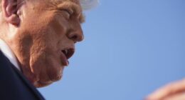 Trump hints at timeline for tariffs on $1.6 billion of Aussie exports