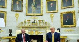 Trump hosts Gulf leaders at White House as new violence raises questions about progress toward peace