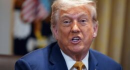 Trump is taking Epstein criticism 'personally': Bill O'Reilly