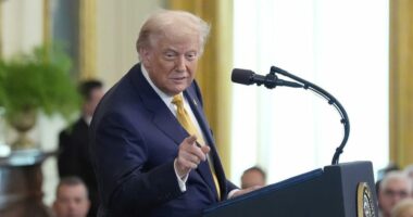 Trump on appointing special counsel for Epstein case: ‘I have nothing to do with it‘