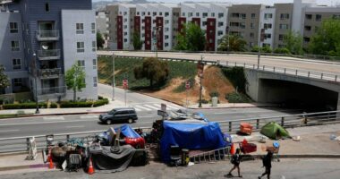 Trump order shifts homelessness strategy toward enforcement