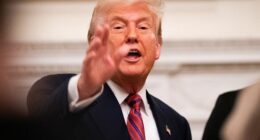 Trump says Bryan Kohberger should have to explain murders