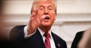 Trump says Bryan Kohberger should have to explain murders