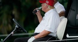 Trump says Coca-Cola will use real sugar in its US flagship drink. The company isn't confirming that