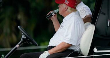 Trump says Coca-Cola will use real sugar in its US flagship drink. The company isn't confirming that