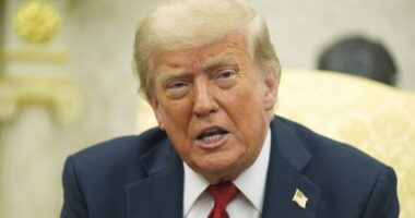 Trump slams 'past supporters' over fixation on Epstein