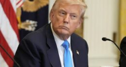 Trump slaps blanket 50 per cent tariff on crucial resource
