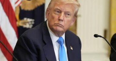 Trump slaps blanket 50 per cent tariff on crucial resource