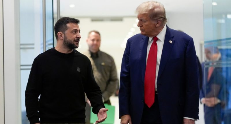 Trump speaks with Zelenskyy after ‘disappointing’ call with Putin