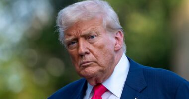Trump sues after Wall Street Journal’s Epstein story 