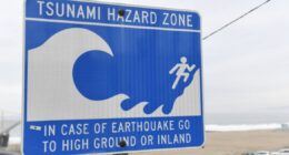 Tsunami alert for Hawaii and West Coast after 8.8 earthquake