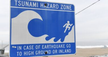 Tsunami alert for Hawaii and West Coast after 8.8 earthquake