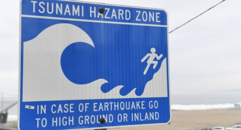 Tsunami alert for Hawaii and West Coast after 8.8 earthquake