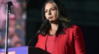 Tulsi Gabbard 'Is Lying' Says Ex-CIA Official Who Oversaw Russian Intelligence on the 2016 Elections