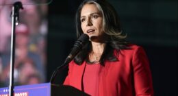 Tulsi Gabbard 'Is Lying' Says Ex-CIA Official Who Oversaw Russian Intelligence on the 2016 Elections