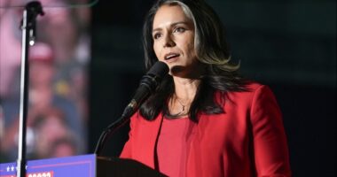 Tulsi Gabbard 'Is Lying' Says Ex-CIA Official Who Oversaw Russian Intelligence on the 2016 Elections