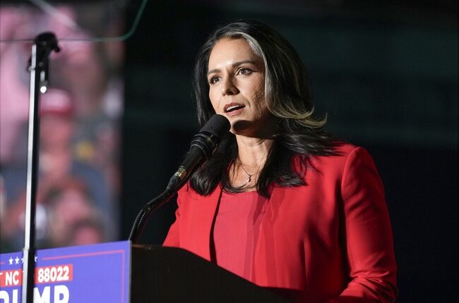 Tulsi Gabbard 'Is Lying' Says Ex-CIA Official Who Oversaw Russian Intelligence on the 2016 Elections